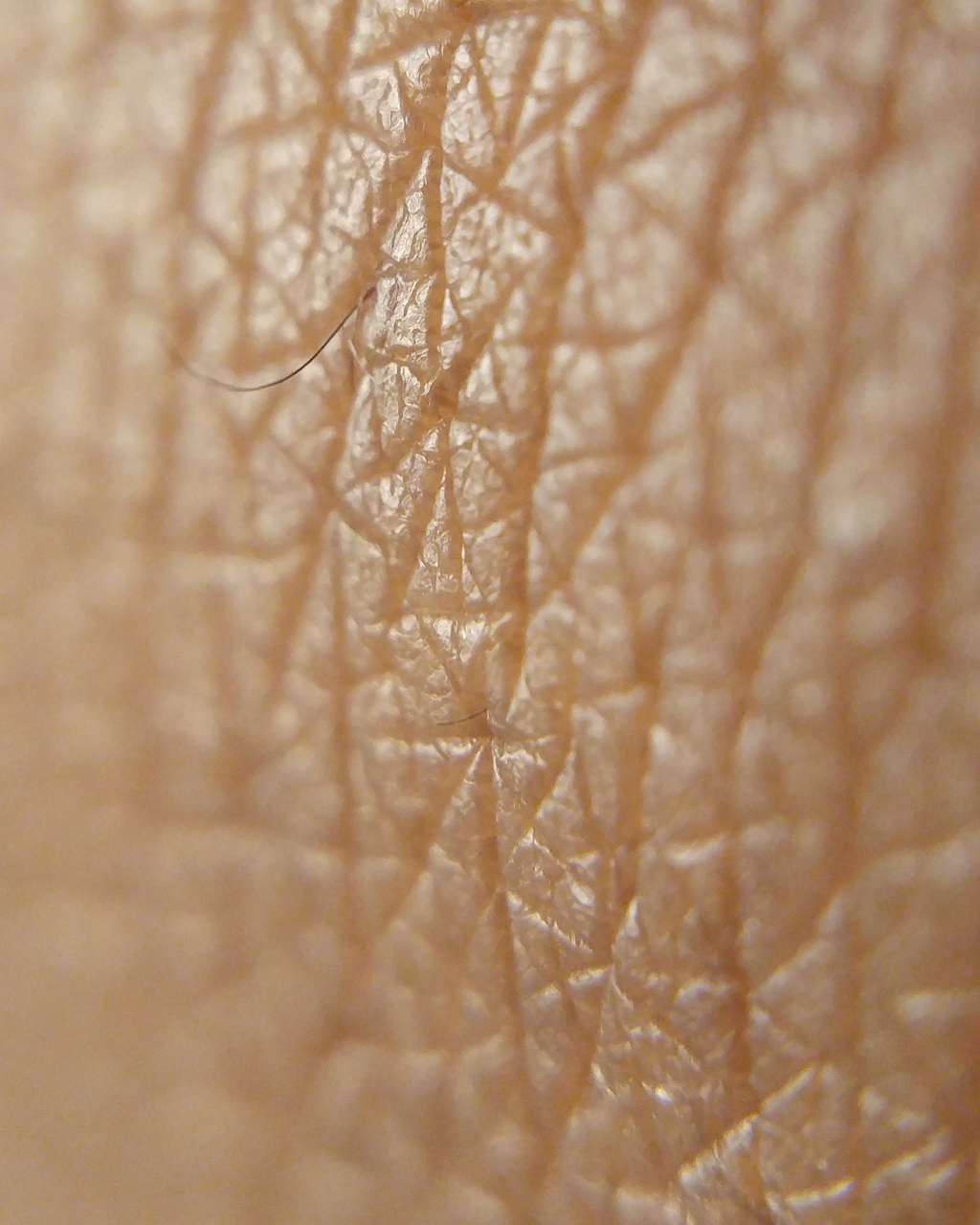 Close-up of skin, Opal is suitable for all skin types